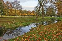 Cjp_2009_10_29_162959 (1)_HDR-D2.jpg